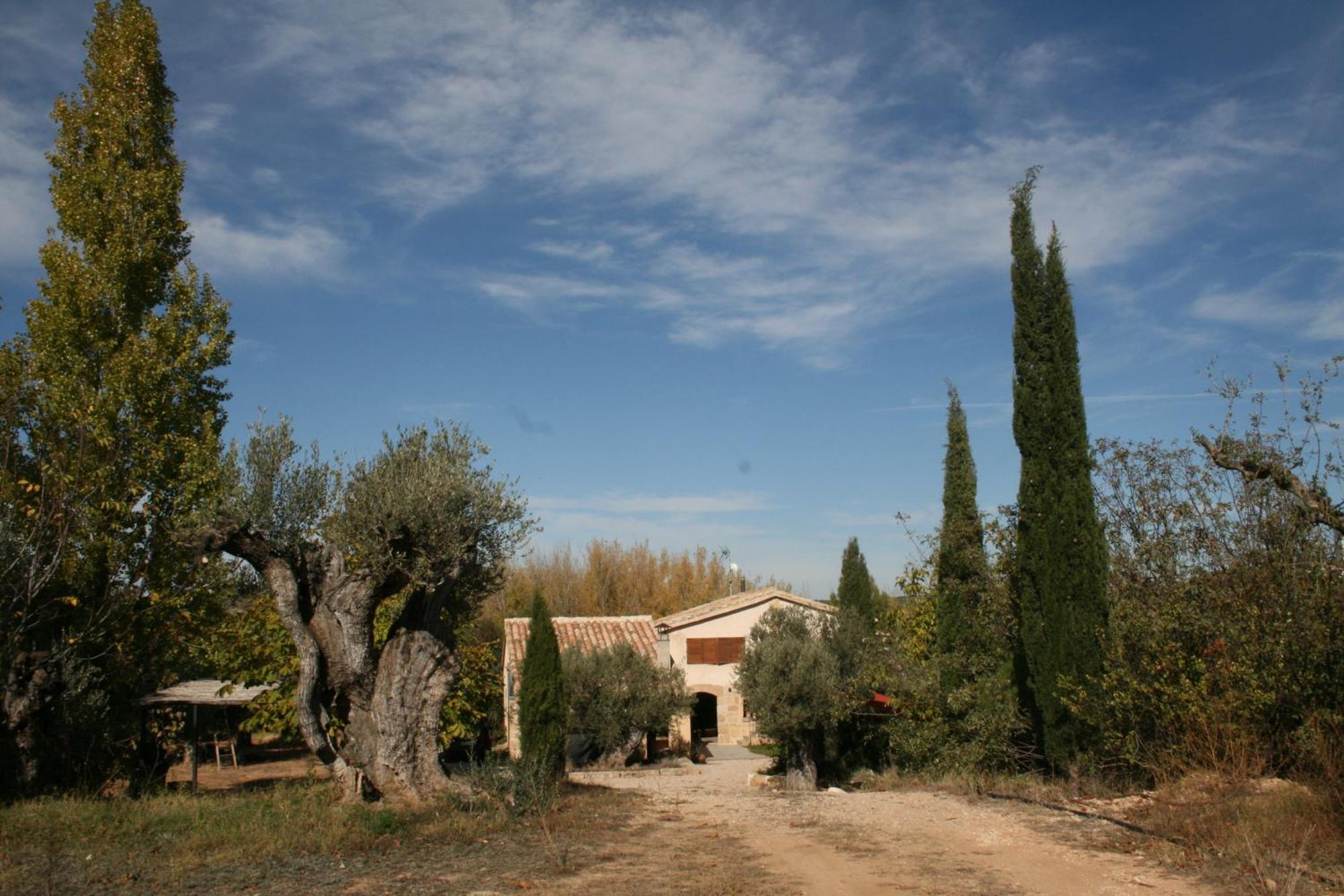 Maset Del Riu Guest House Valderrobres Exterior photo